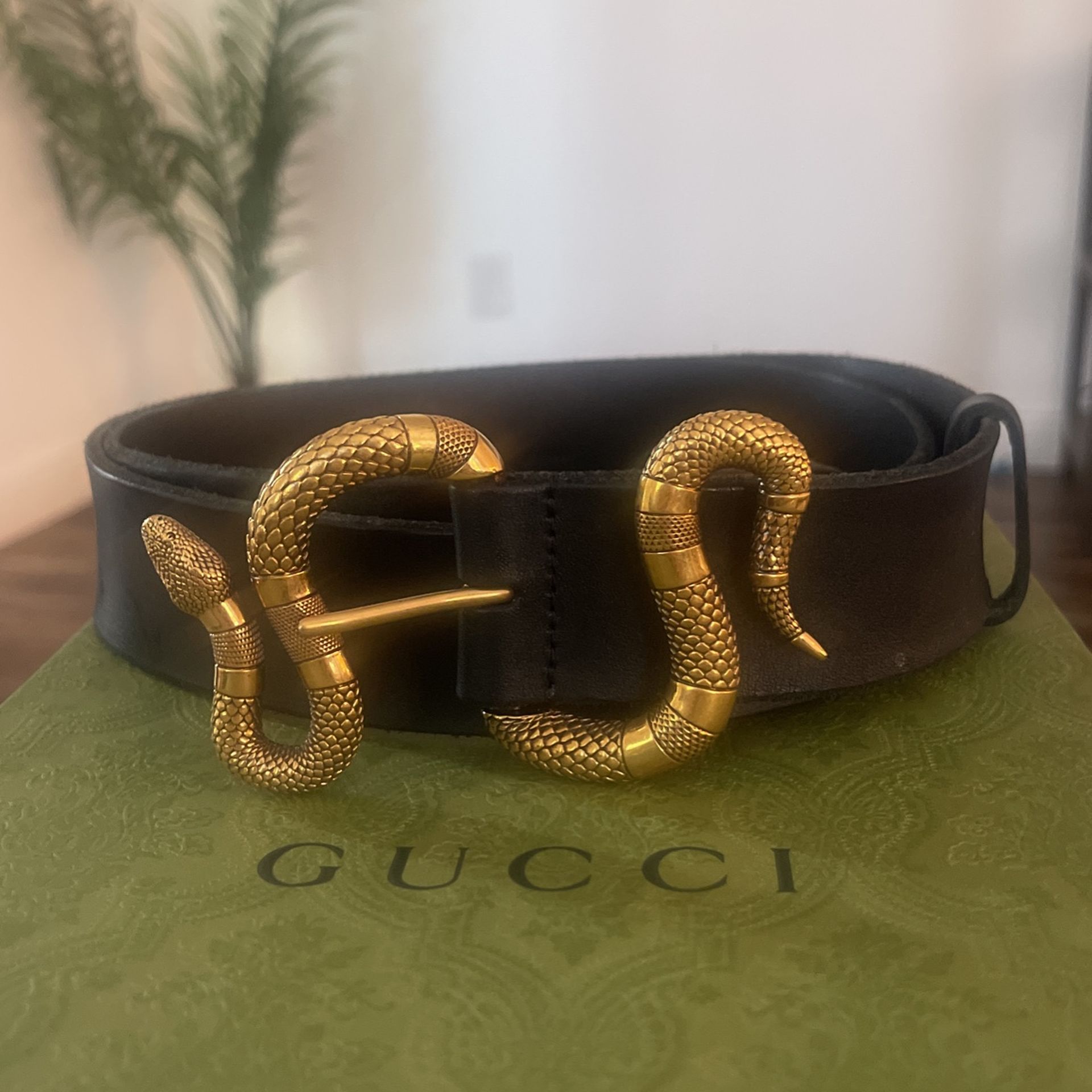 Gucci Snake Belt