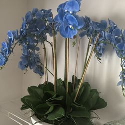 Beautiful Orchid Arrangement 