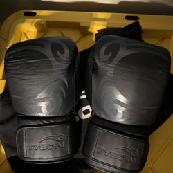 Tyson Pro 16oz Gloves