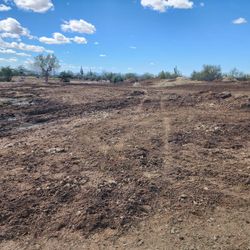 HORSE MANUER - Horse/grass/alfa-alfa Manure blend FREE