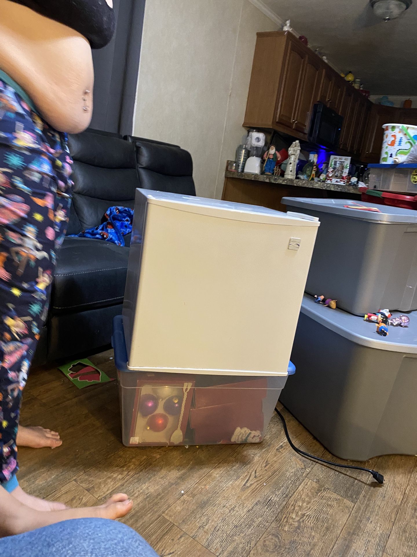 Little Fridge