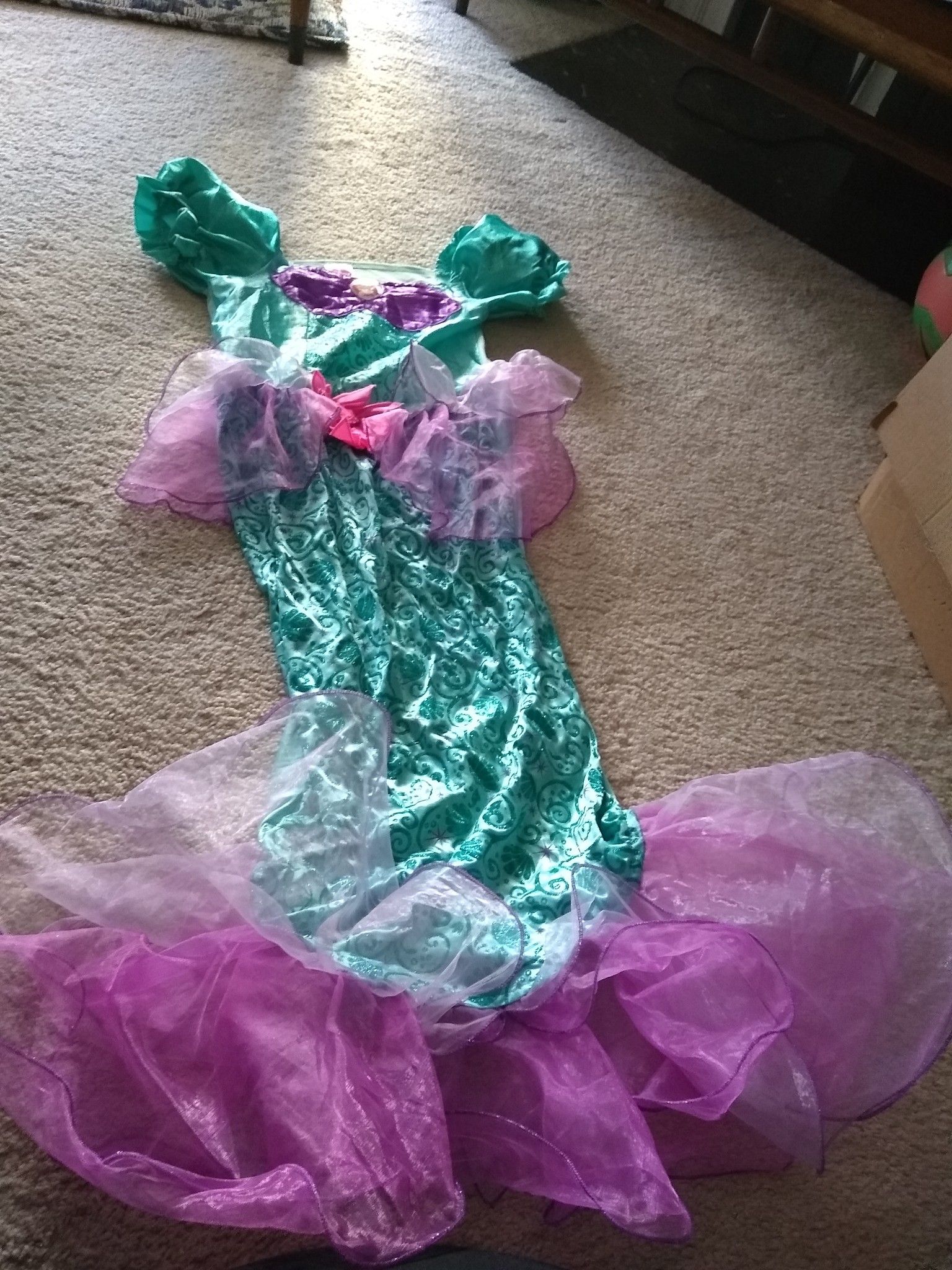 Mermaid dress up