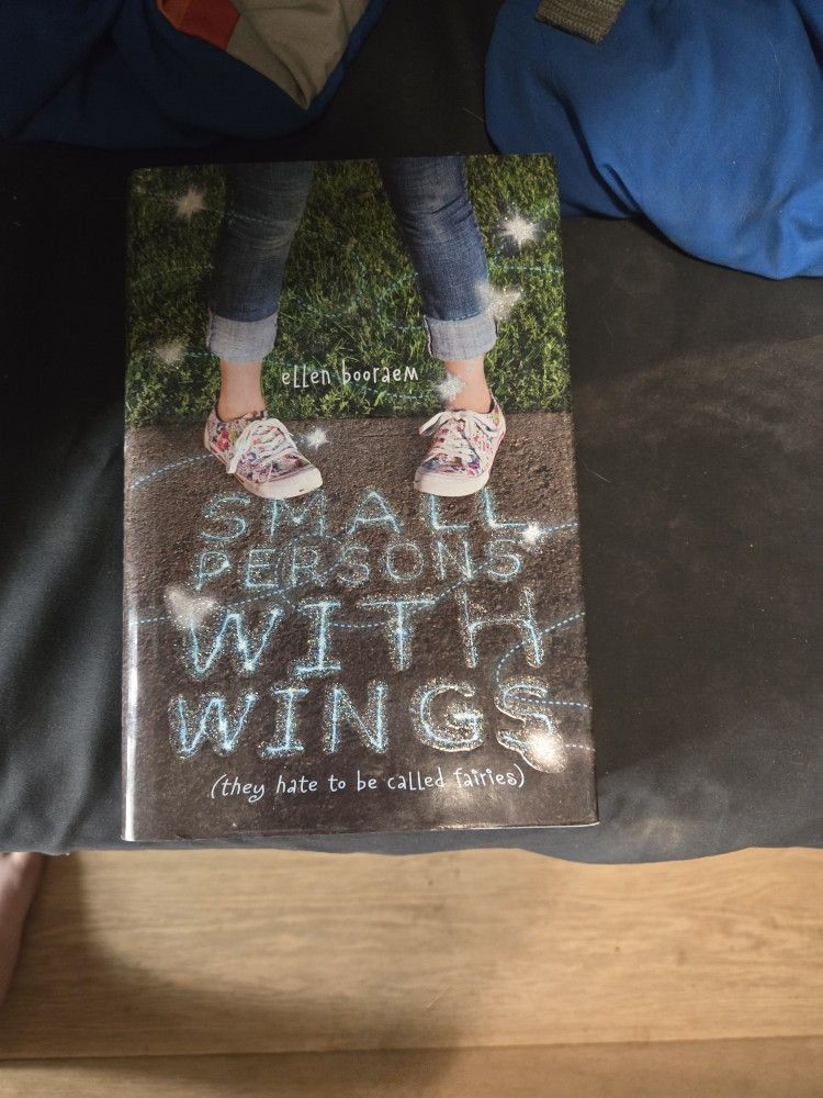 Small Persons With Wings By Ellen Booraem