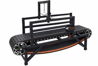 Large dog treadmill