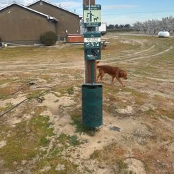 Dog waste station