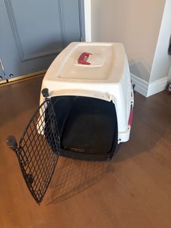 medium dog large cat crate