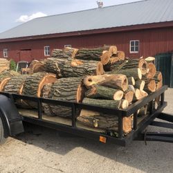 Firewood 