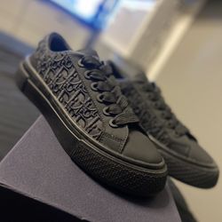 dior b33