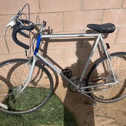 1976 raleigh record bike