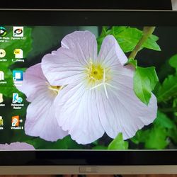 Acer  Iconia Tablet 