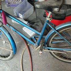 Vintage Schwinn Girl Bike 