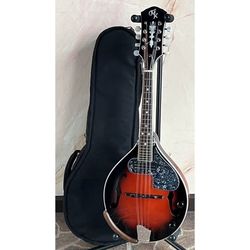 RARE Michael Kelly MKASOLIDTBS A-Style 8-String Electric Mandolin - Red Burst