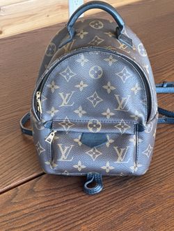 Louis Vuitton -Palm Springs Mini