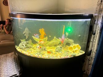 90 gallon complete setup
