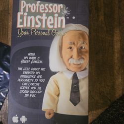 Professor Einstein
