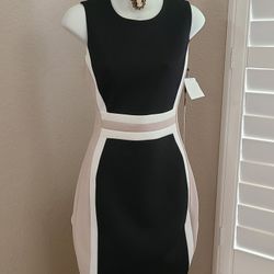 Calvin Klein Brand From Macy's Dress 👗 Size 8 ( Stretch ) 