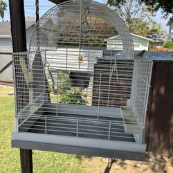 Bird Cage