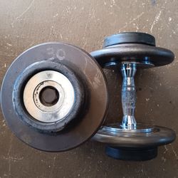 30lb Dumbbells 