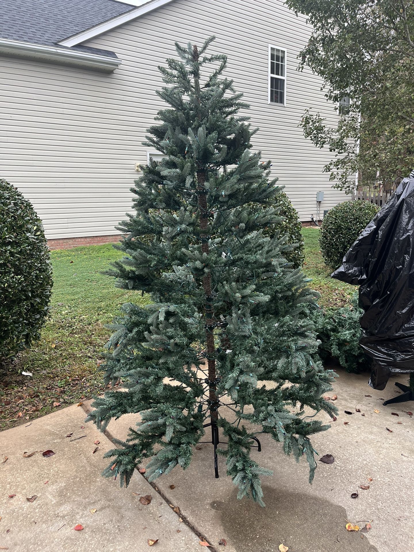 Beautiful 9’ Pre Lit Peppermint Forest Christmas Tree