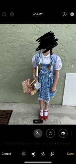 Dorothy Costume Kids Wizard Of Oz