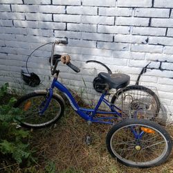 TriStar 3 Wheeled Bike 