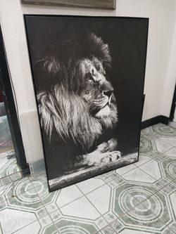 Cuadro De Pintura  56X40