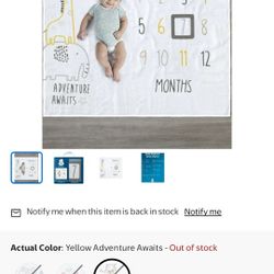 Monthly Milestone Blanket