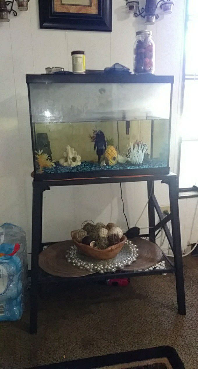 25 gallon fish tank (everything included)