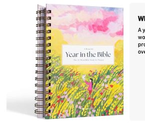 A Beautiful Year in the Bible: The 52-Week Bible Study for Women