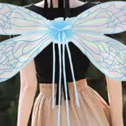 Dragonfly Wings Halloween Costume 
