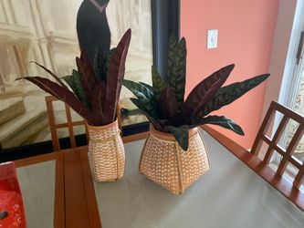 2 pots with artificial plant for 20 dollars