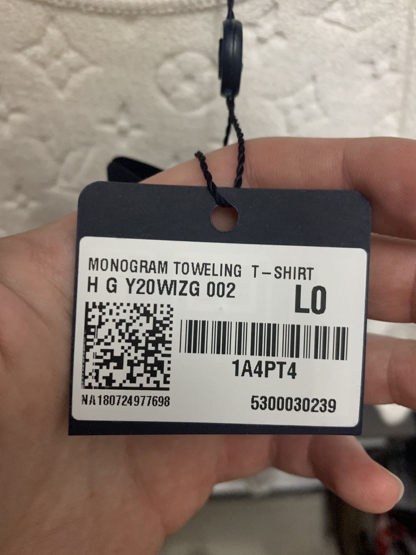 Monogram Gradient Cotton T-Shirt Louis Vuitton for Sale in Miami, FL -  OfferUp