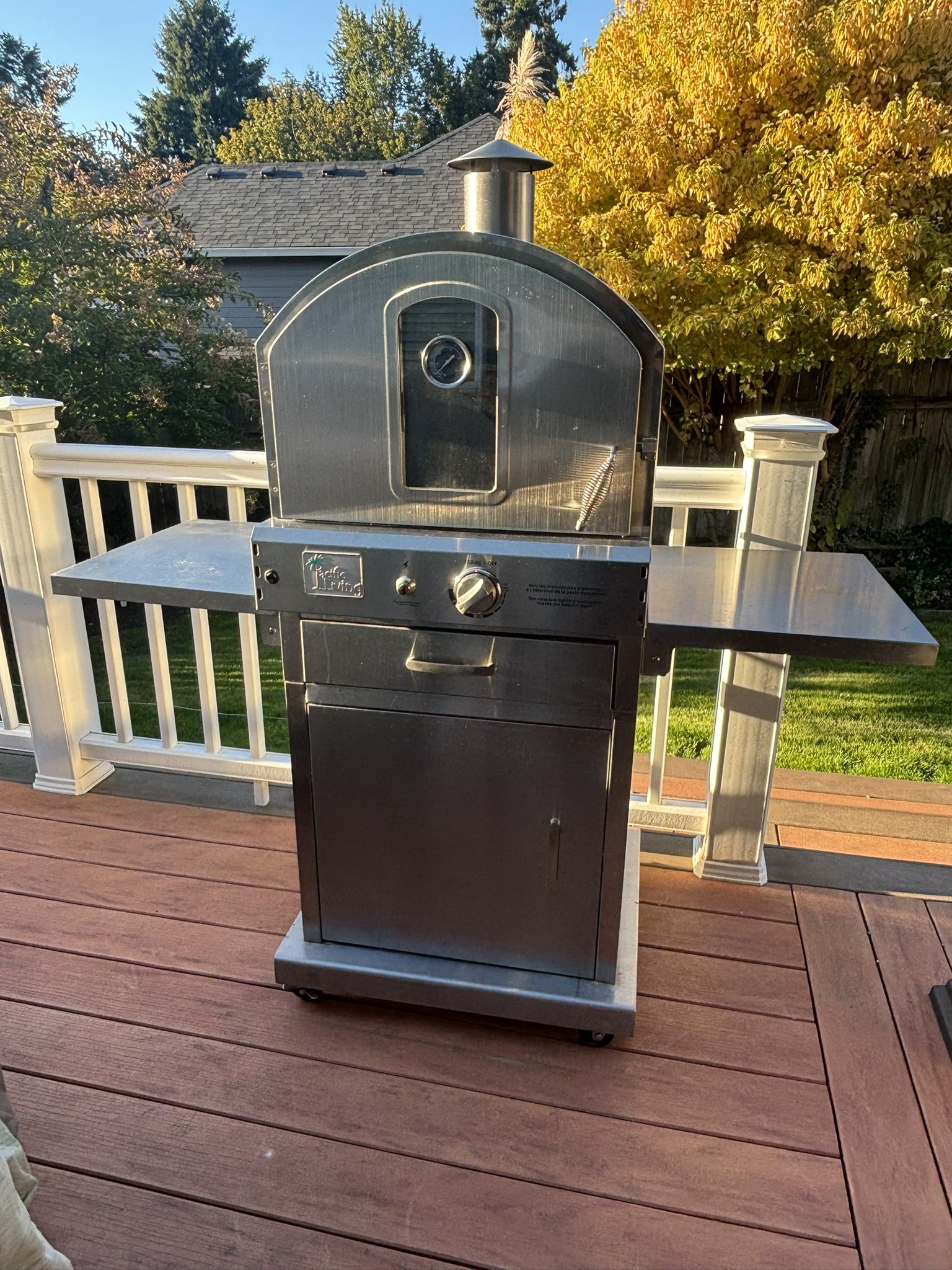 Pizza Oven /Gas grill