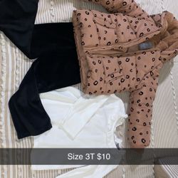 3T Girls Outfit Set