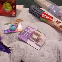 Cat Accesories