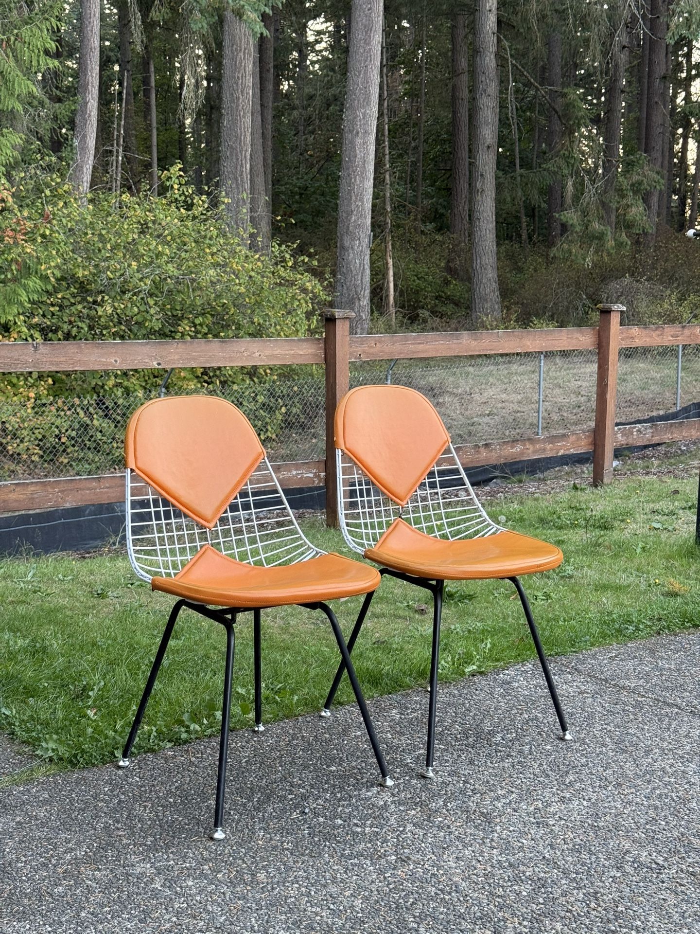 Mid-Century Modern Original Eames for Herman Miller Iron Bikini Side Chairs1960s