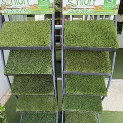 Free Samples 