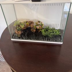 5 Gallon Fish Tank w/ built in filter and lighting