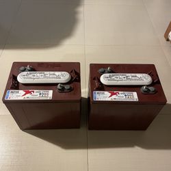 Trojan T105 Deep Cycle House batteries 2