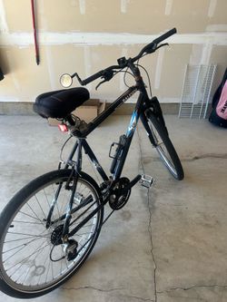2009 Raleigh Mojave 2.0