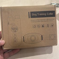 Dog Training Collar