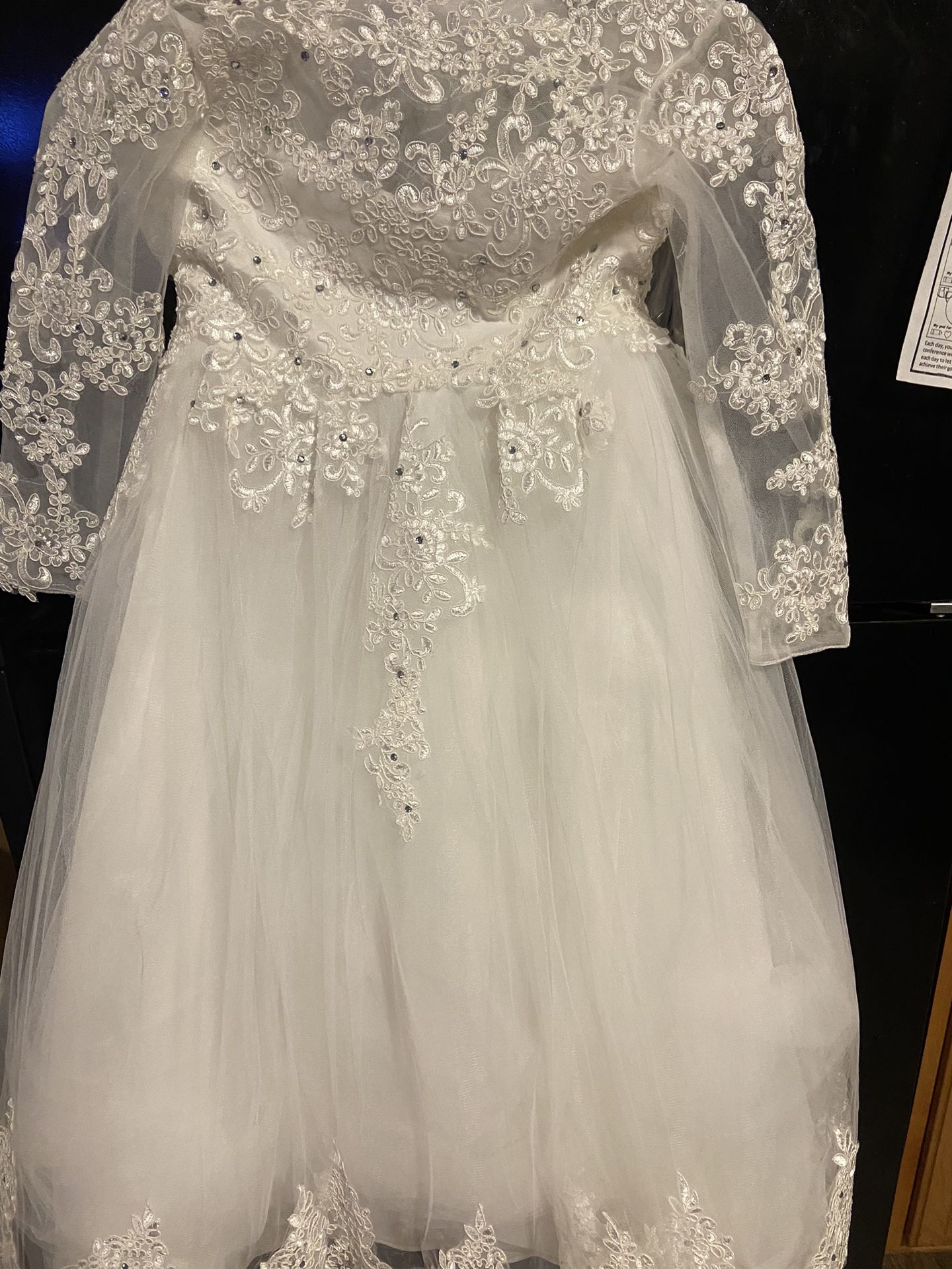 Little Girl Ball Gown 