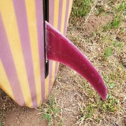 Vintage Surfboard 