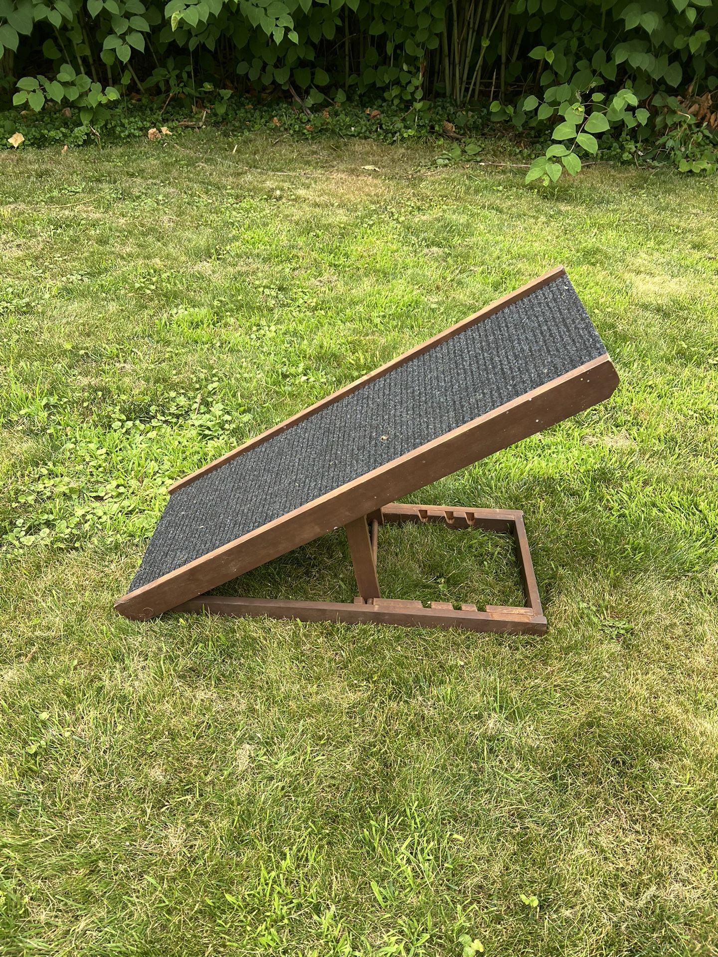 Adjustable Height Pet Ramp