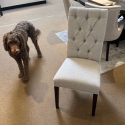 Fabric Dining Chairs