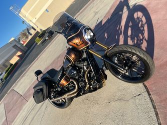 Harley Softail