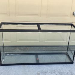 60 Gallon Fish Tank Aquarium
