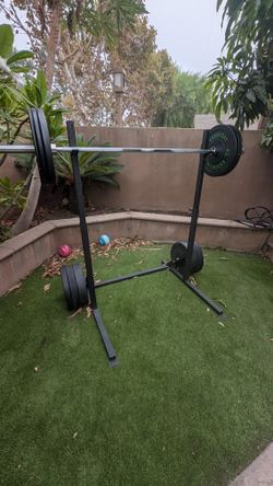 Bumper Weight Plates 