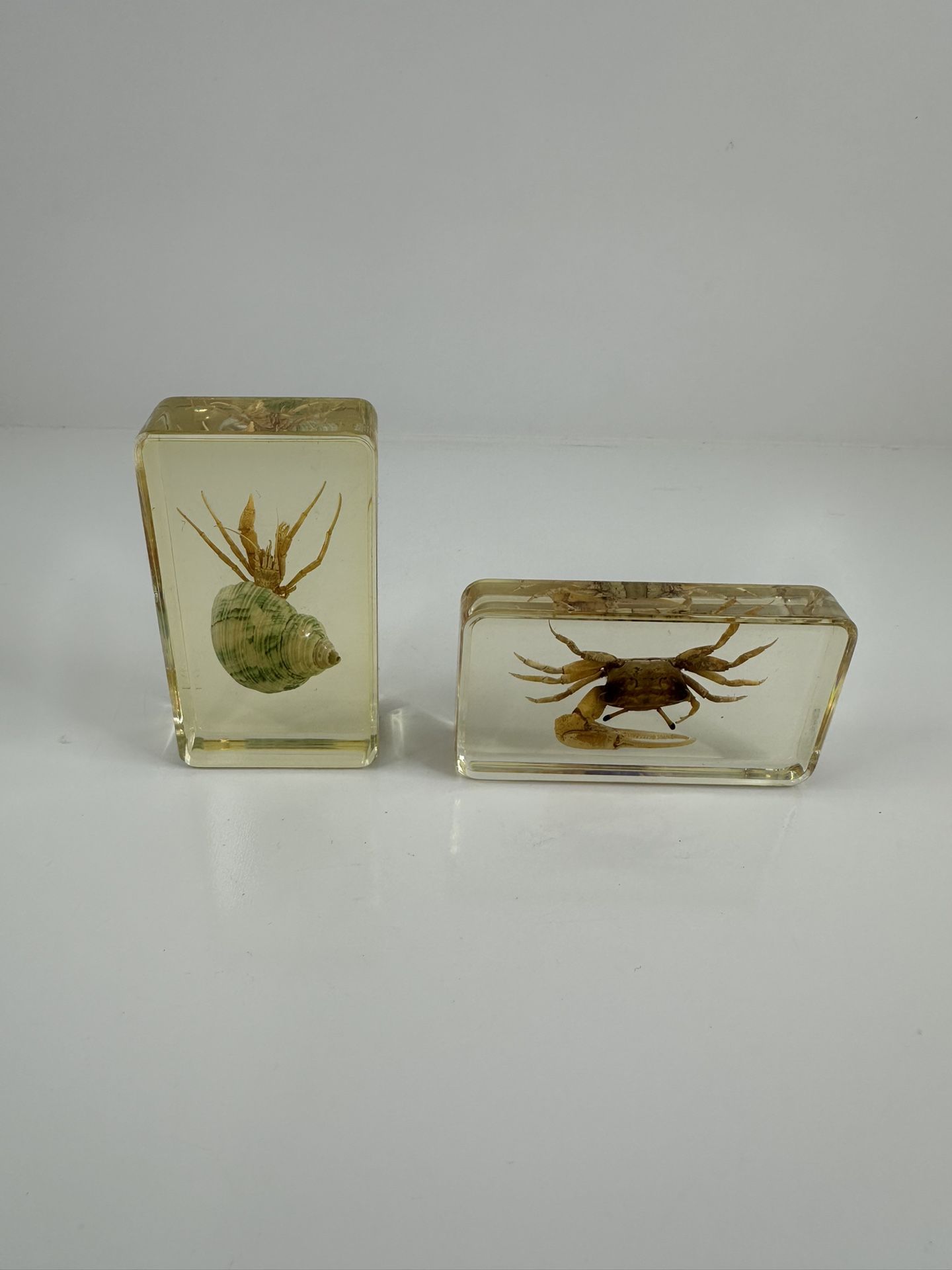2 Vintage Resin Specimens Hermit Crab & Fiddler Crab Encased Paperweight Display