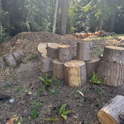 Free Firewood 